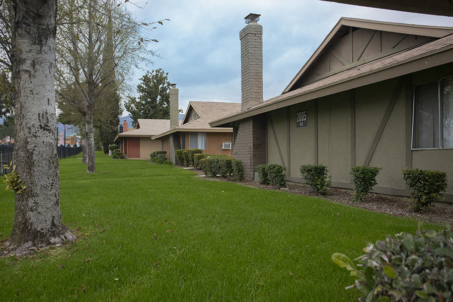 Photos and Video of MILL CREEK in SAN BERNADINO, CA